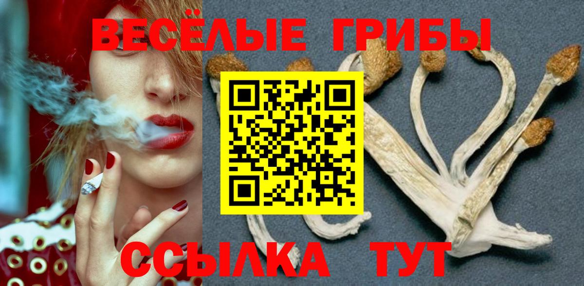Мариинск  Галлюциногенные грибы ЛСД  Вход с VPN 