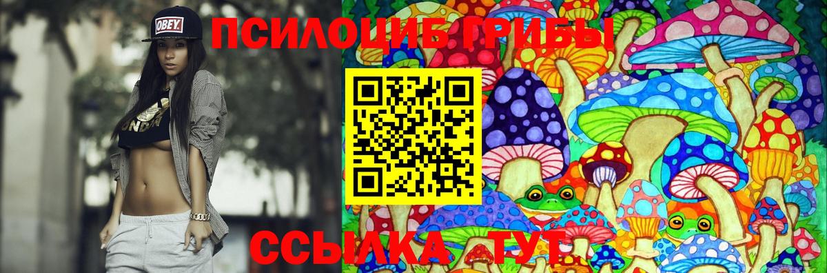 Галлюциногенные грибы Psilocybine cubensis Мариинск
